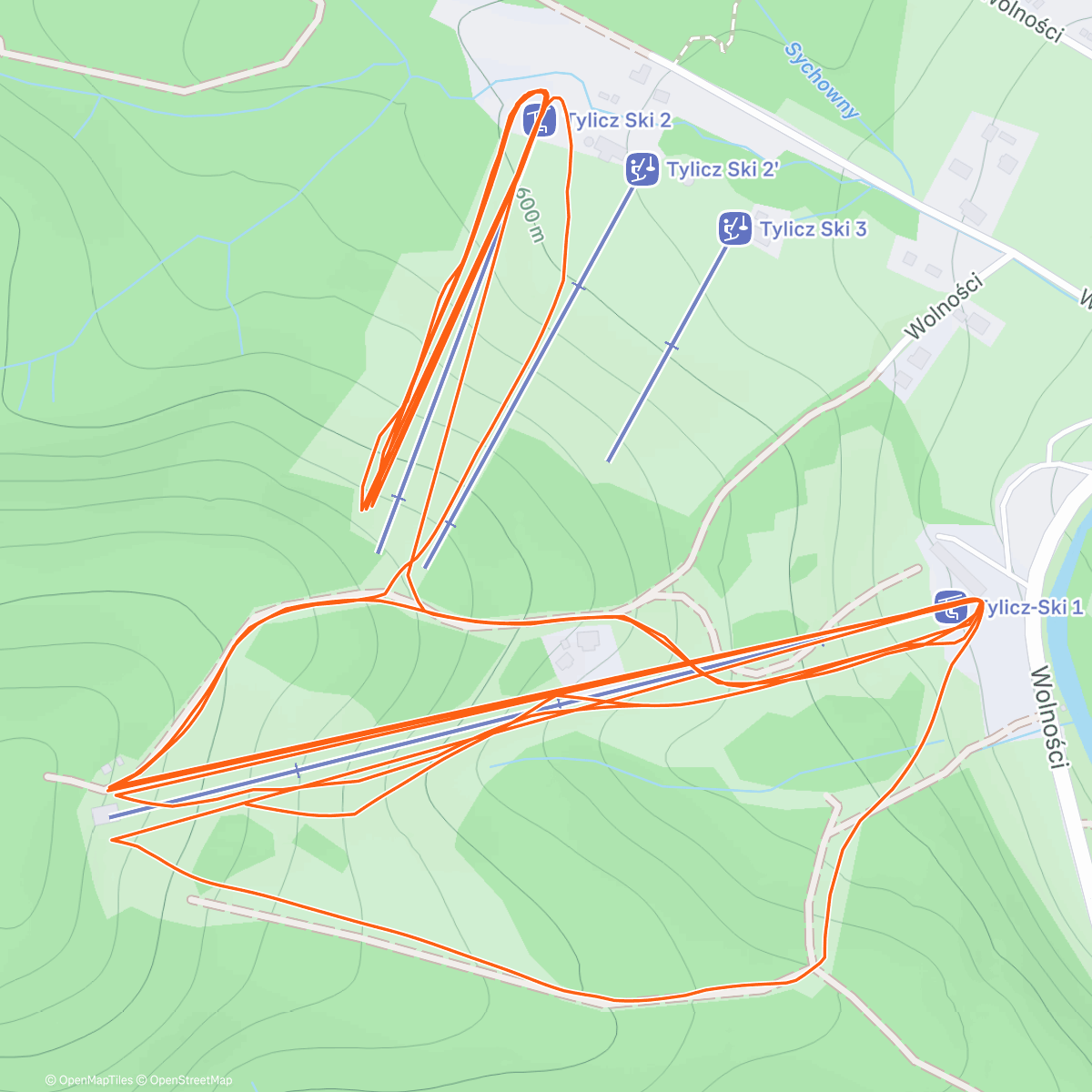 Карта физической активности (Morning Alpine Ski)