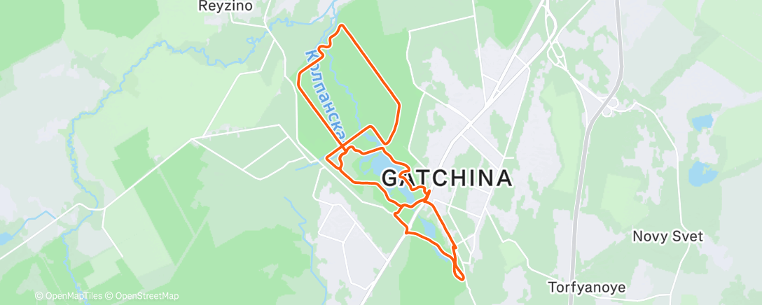 Карта физической активности (Morning Trail Run)