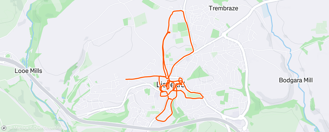 Map of the activity, Evening Run