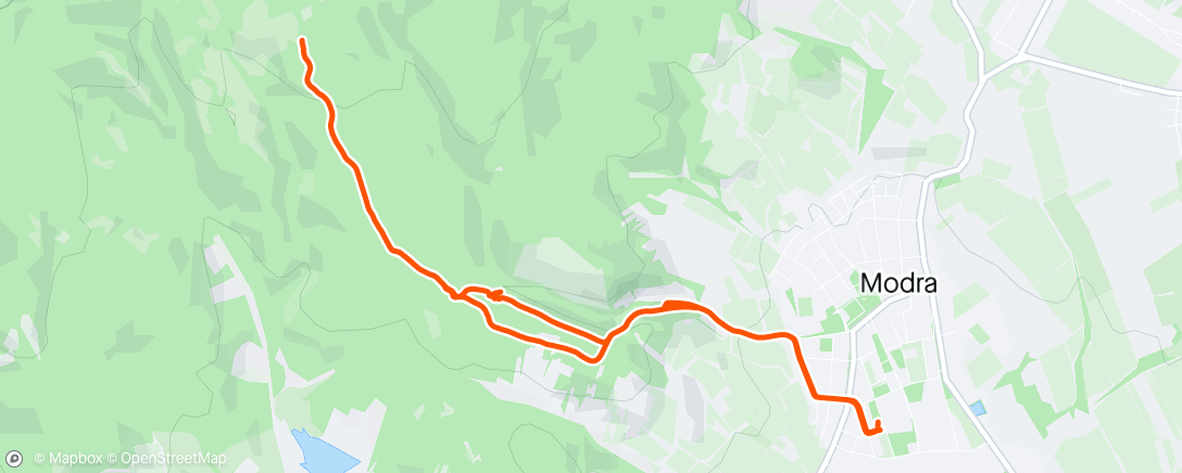 Map of the activity, Lunch Trail Run