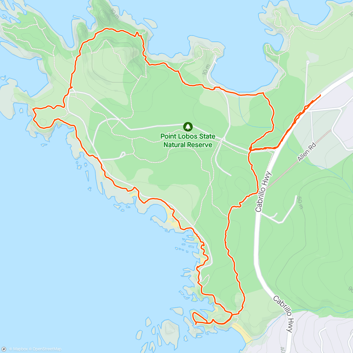 Map of the activity, Point Lobos goodness