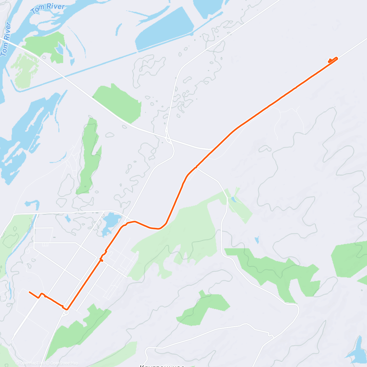 Карта физической активности (Утренний забег)