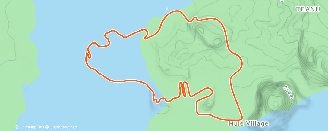 Map of the activity, Zwift - Volcano Flat in Watopia