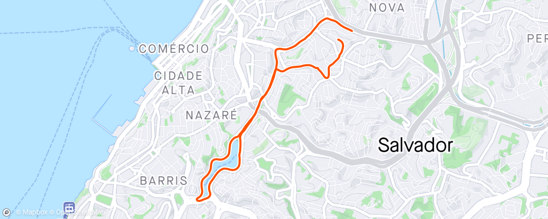 Карта физической активности (Nike Run Club: domingo corrida matutina)