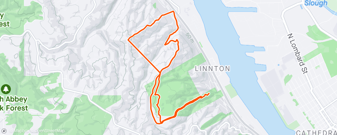 Mapa de la actividad, Morning Trail Run