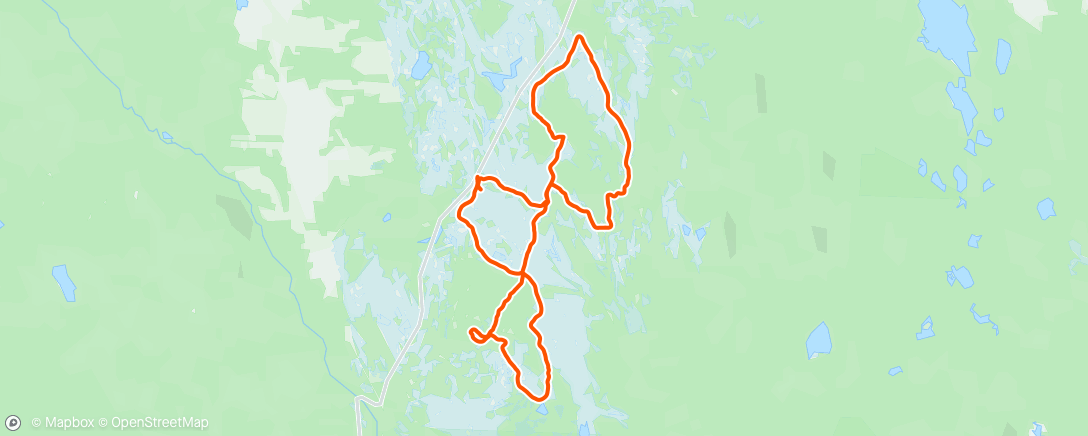 Карта физической активности (Morning Nordic Ski)