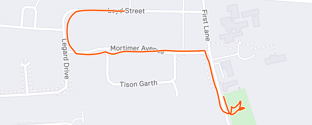 Карта физической активности (Afternoon Walk)