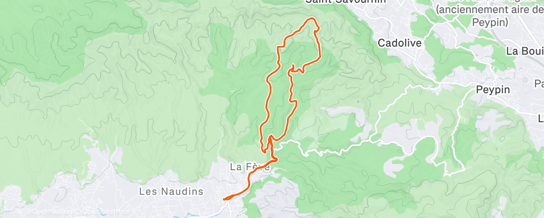 Map of the activity, Trail le matin