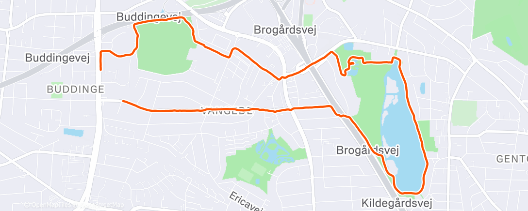 Карта физической активности (Lunch Run)