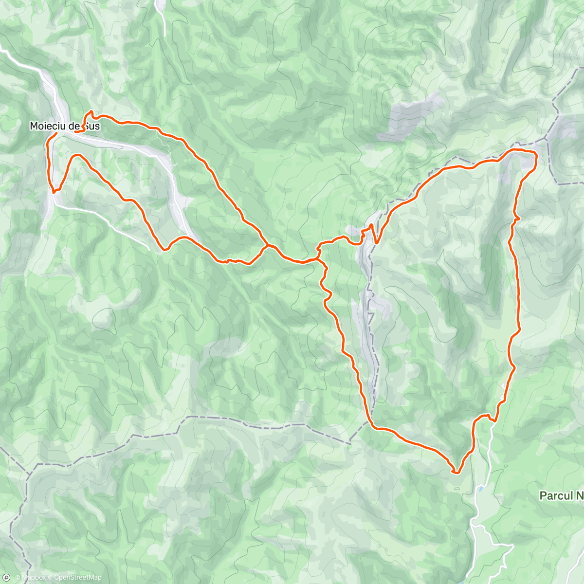 Map of the activity, B3 on steroids