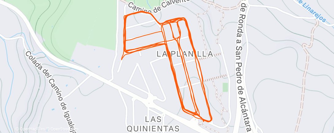 Карта физической активности (Tempo 🌃)