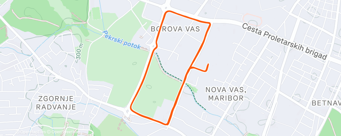 Mapa de la actividad (Evening Borova 🔂 run 🧊⛸️🏃🏼‍♀️)