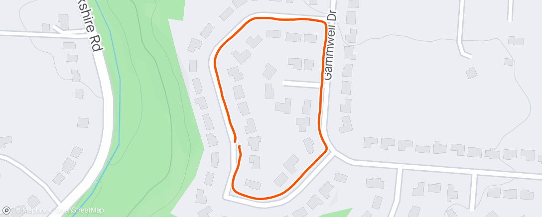 Map of the activity, Afternoon Walk with Stone