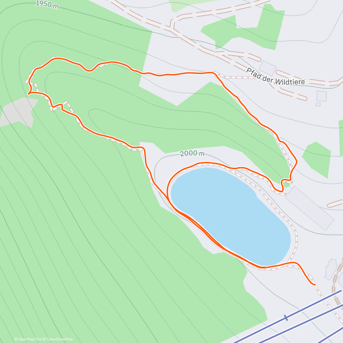 Map of the activity, Afternoon Walk