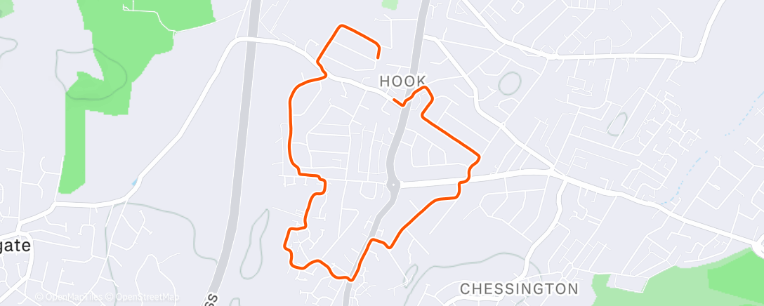 Map of the activity, The one where…I need to get Ise to an appointment so had to do an early run