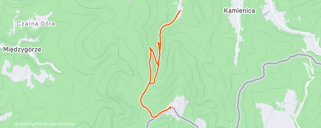 Карта физической активности (Morning Walk)