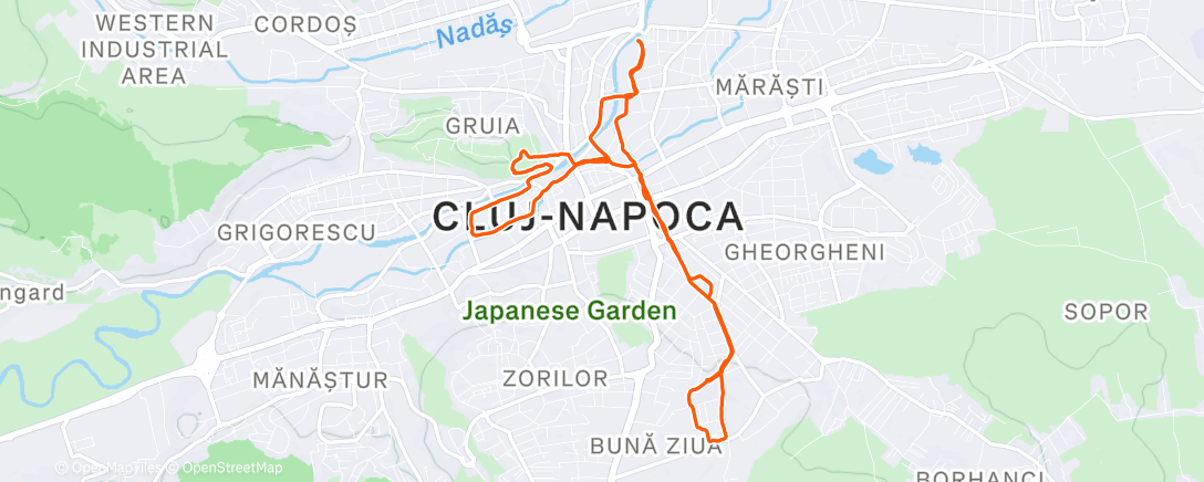 Карта физической активности (Lunch Run)