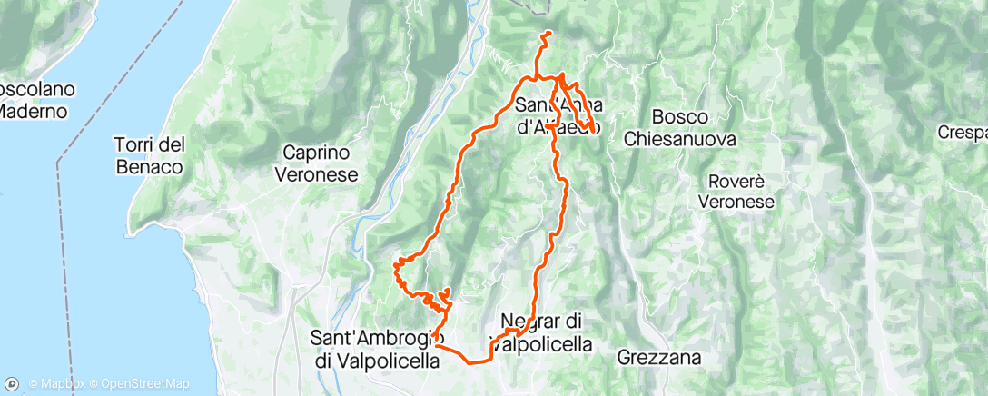 Map of the activity, Ceredo - saloon