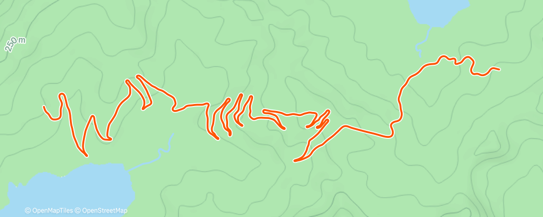 Карта физической активности (Zwift - Group Ride: Road to Sky in Watopia)