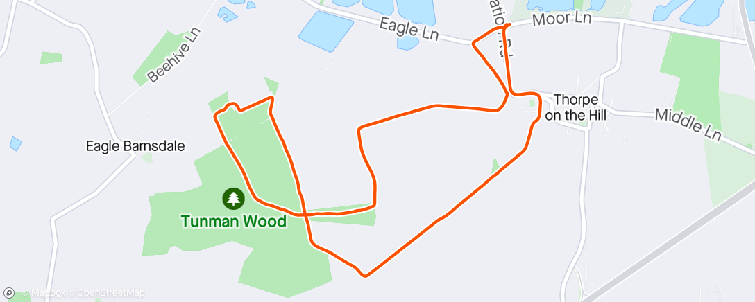Map of the activity, Tunman Wood walk with Anna
