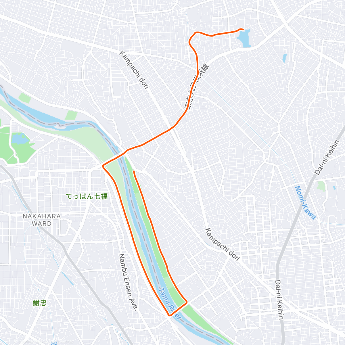 Карта физической активности (丸子橋ガス橋)