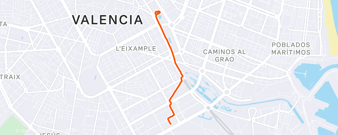 Map of the activity, Дневной забег