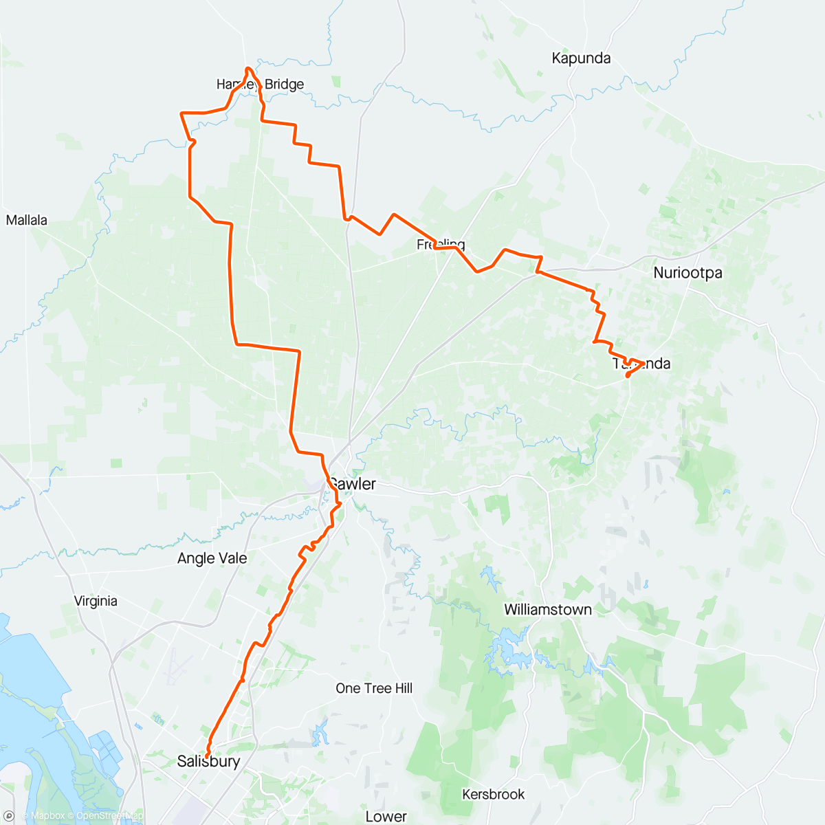 Map of the activity, FTFP gravel to Tanunda x 15 🚵🏻‍♀️☀️