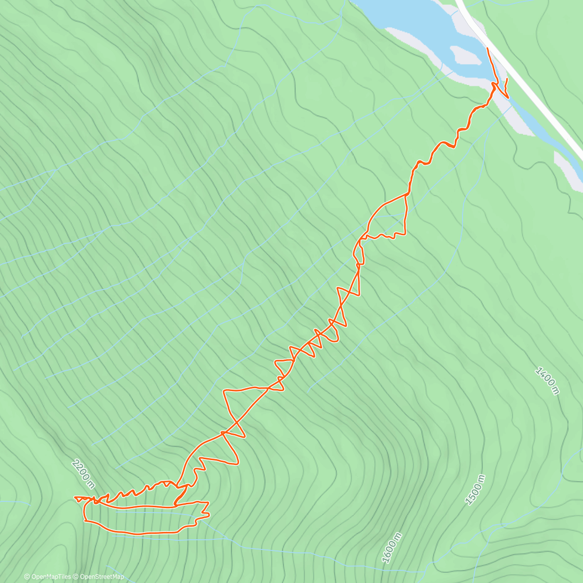 Карта физической активности (Cold Smoked Ribs, Family Buffet)