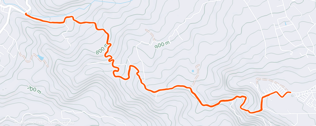 Карта физической активности (Morning Trail Run)