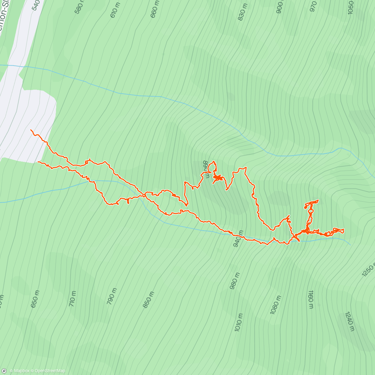Mapa da atividade, Scouting hick with my goat dog brony