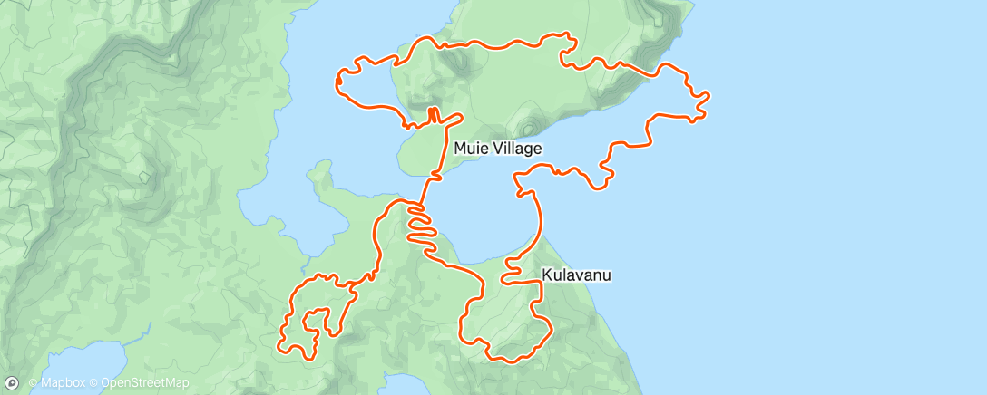 Map of the activity, Zwift - on Bigger Loop in Watopia