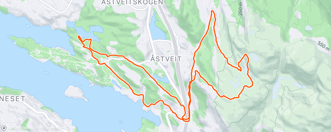 Map of the activity, Lunch Run