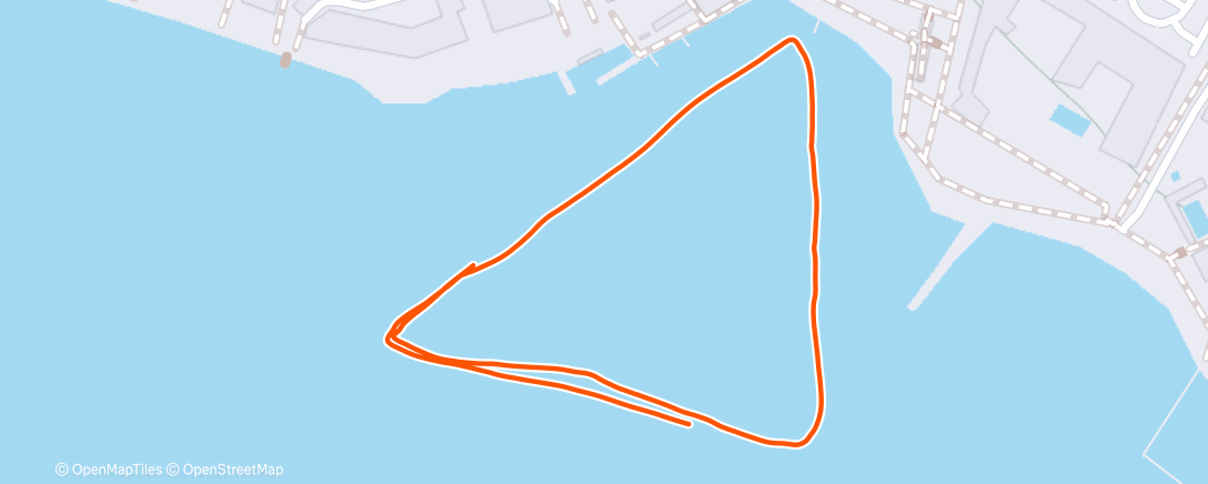 Map of the activity, Olympus Man Triathlon - Swim