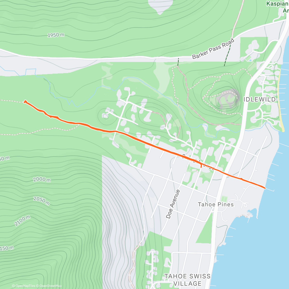 Map of the activity, xmas frolicking