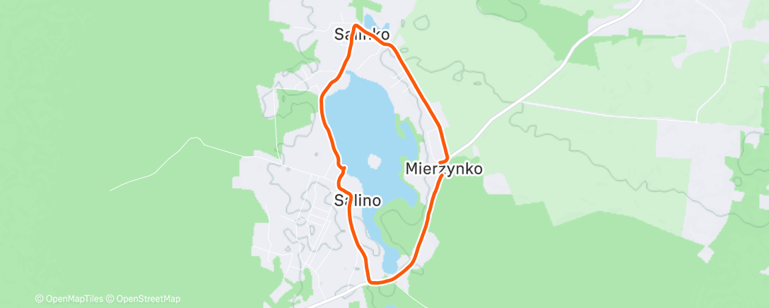 Карта физической активности (Mierzynko 🚶‍♂️ Walk)