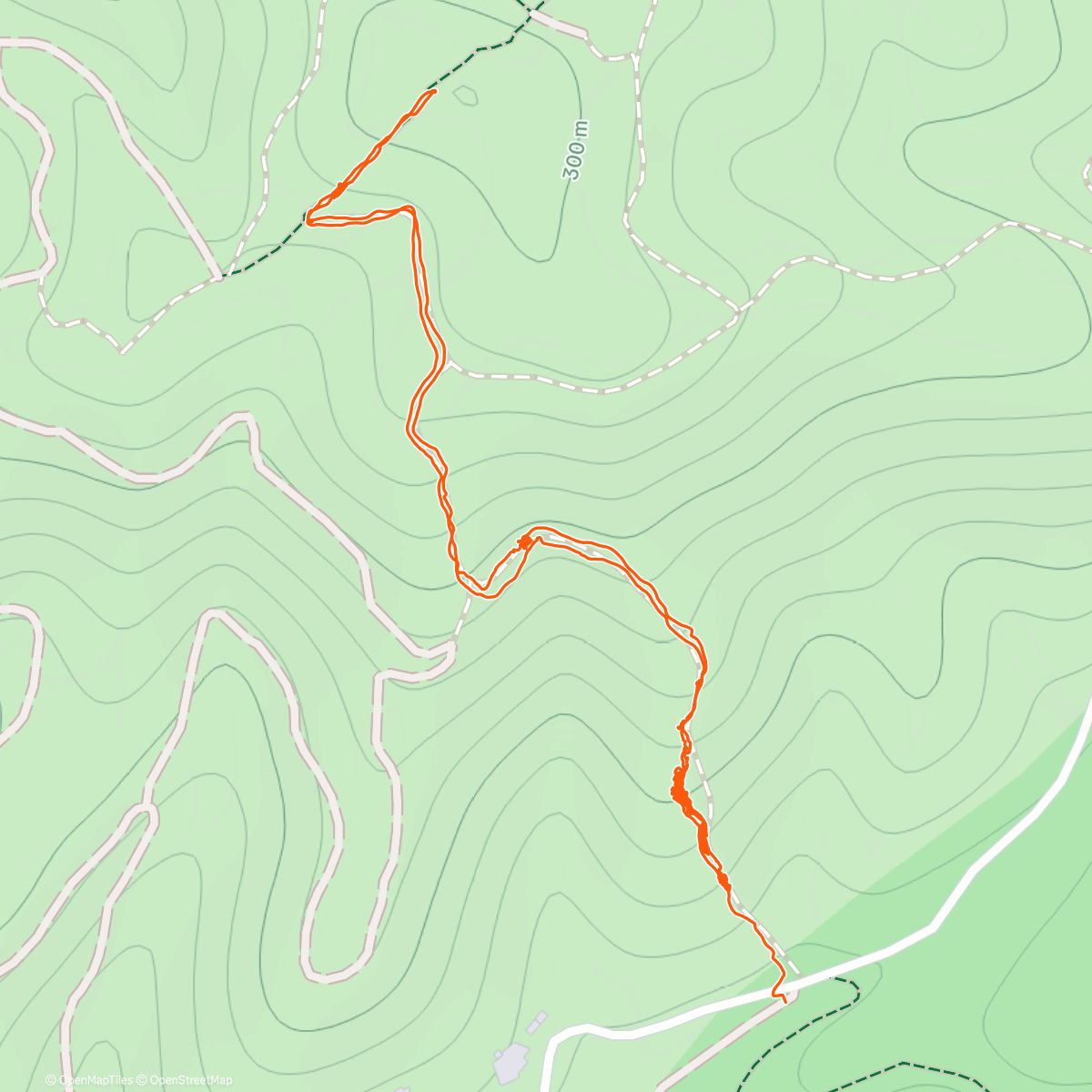 Map of the activity, Shape