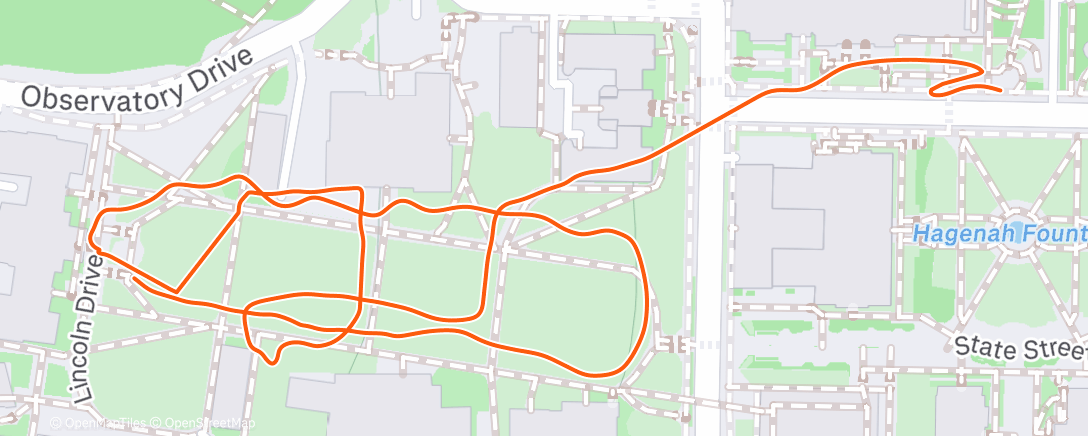 Map of the activity, Morning Run
