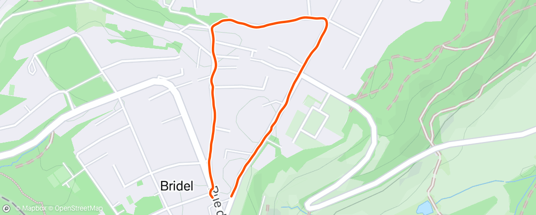 Map of the activity, Afternoon Run