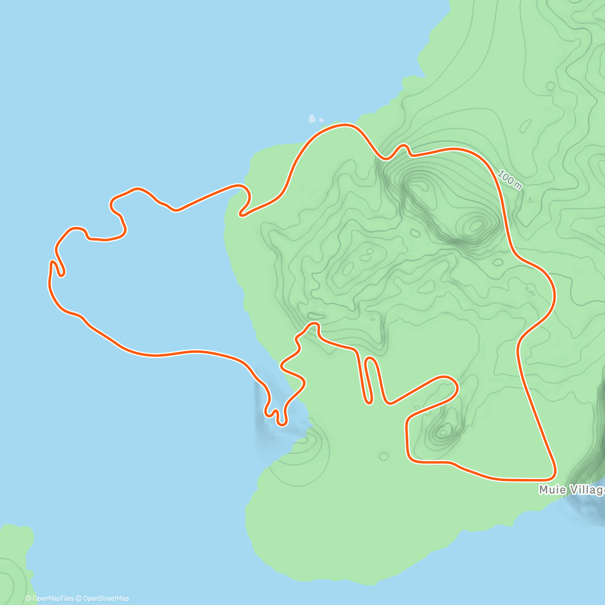 Map of the activity, Zwift - Beach Island Loop in Watopia