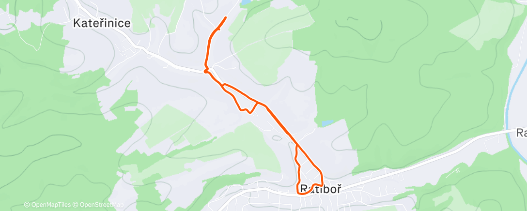Map of the activity, Morning Run