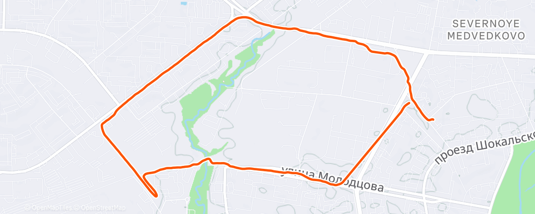 Карта физической активности (Ночной забег)