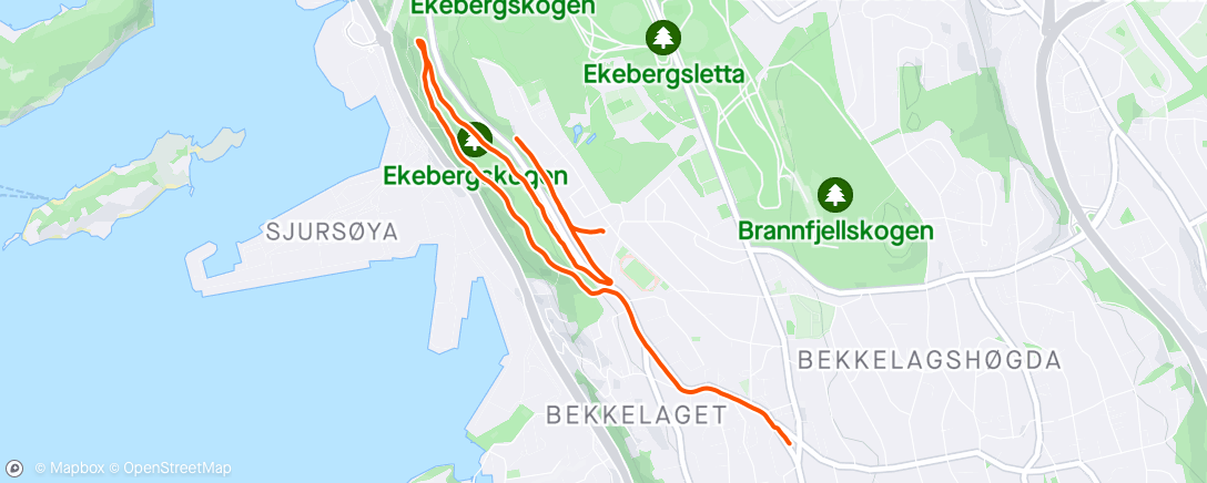 Map of the activity, Lett jogg etter styrketrening