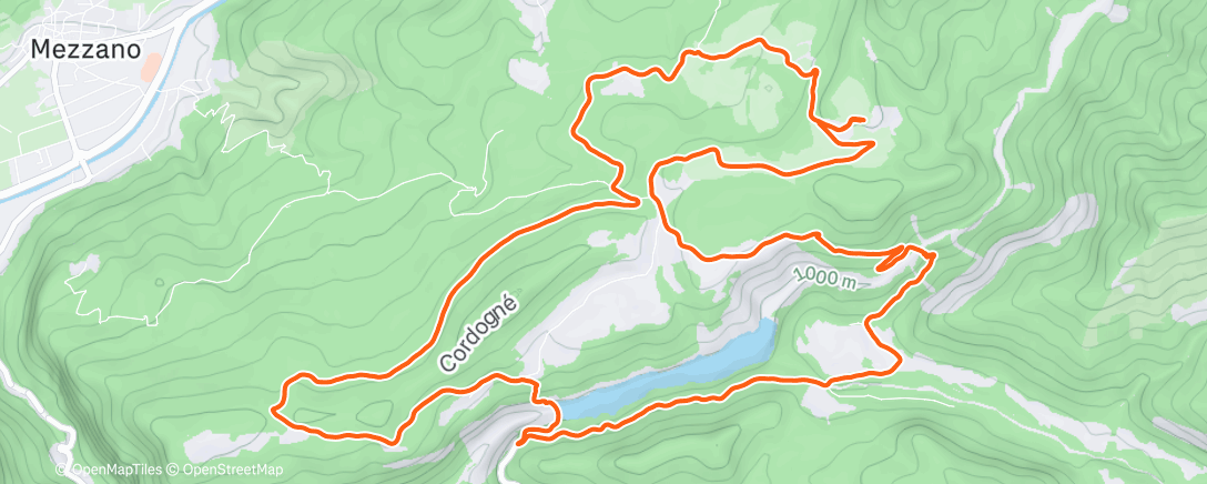 Карта физической активности (Morning freezing run ❄️)