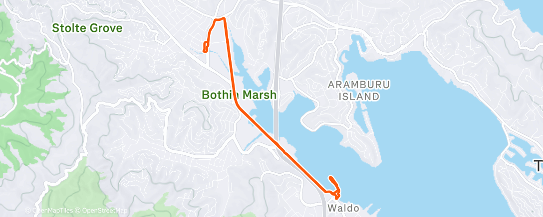 Карта физической активности (Morning Run)