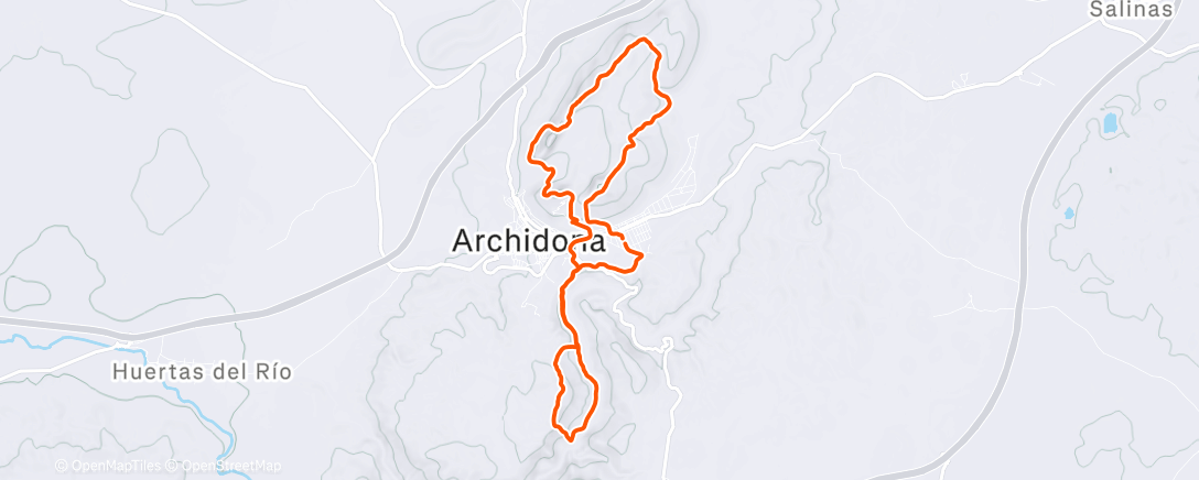 Карта физической активности (Morning Run)