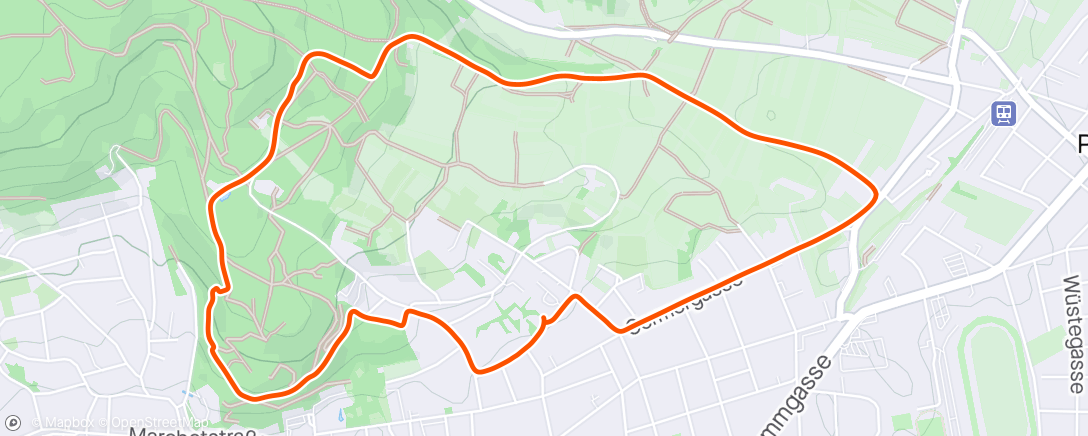 Mapa de la actividad, Lauf am Nachmittag