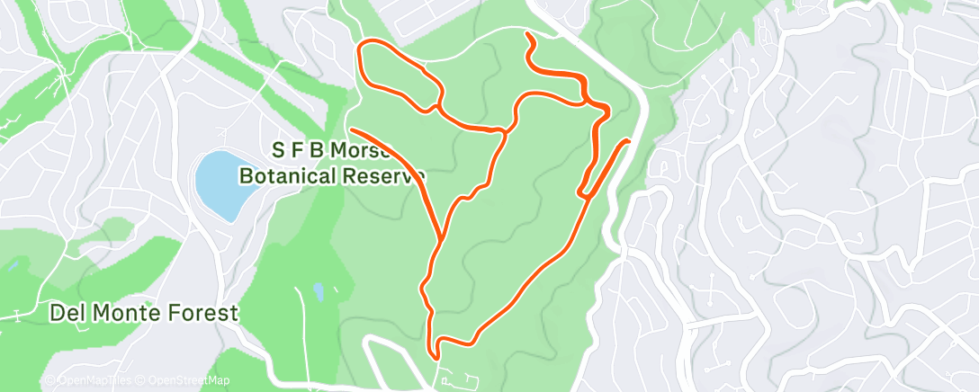 Map of the activity, DMF with the doggies before it turns to mud