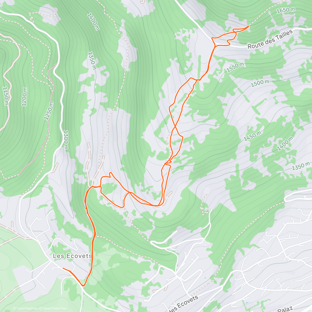 Map of the activity, Evening ski tour