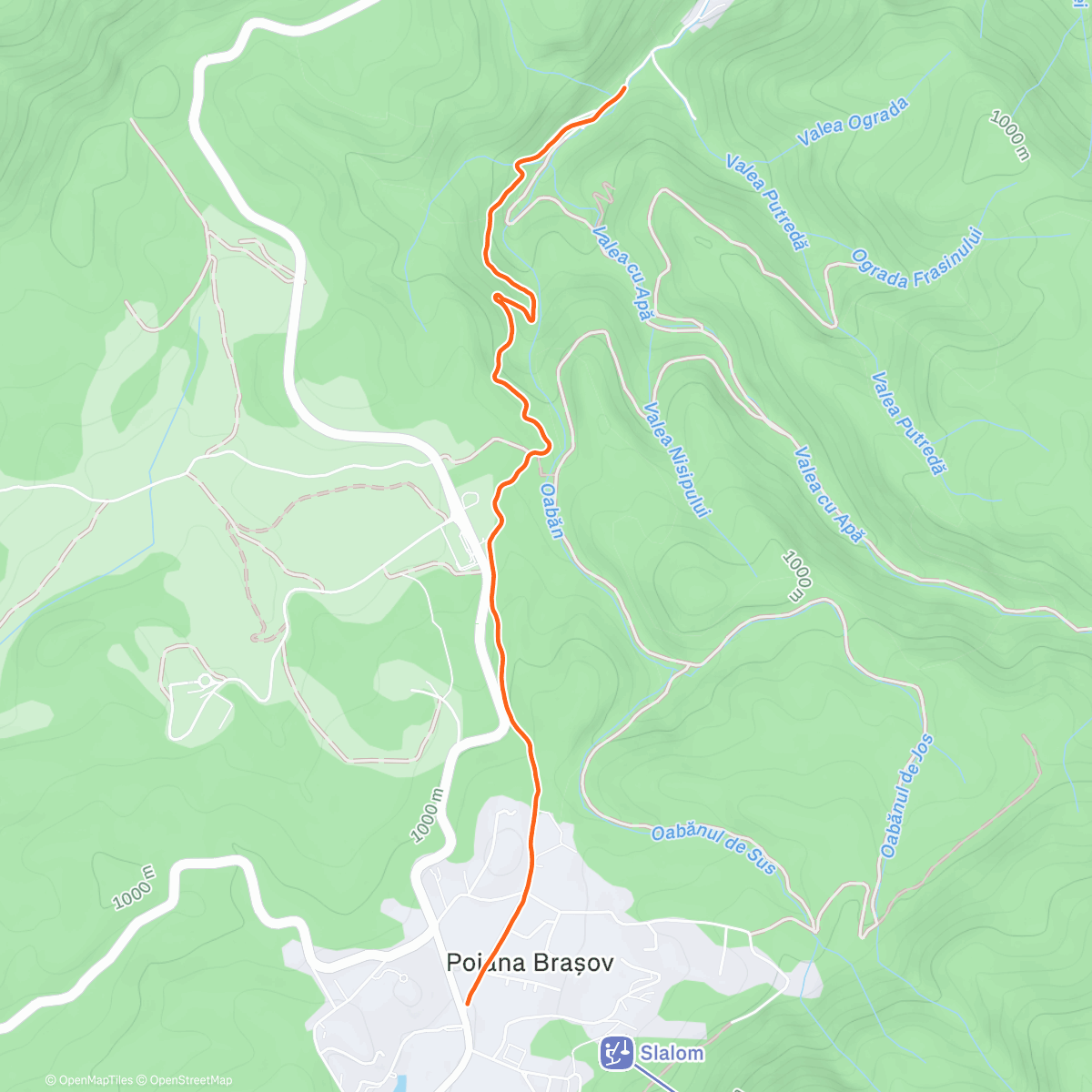 Map of the activity, Evening hike in the forest