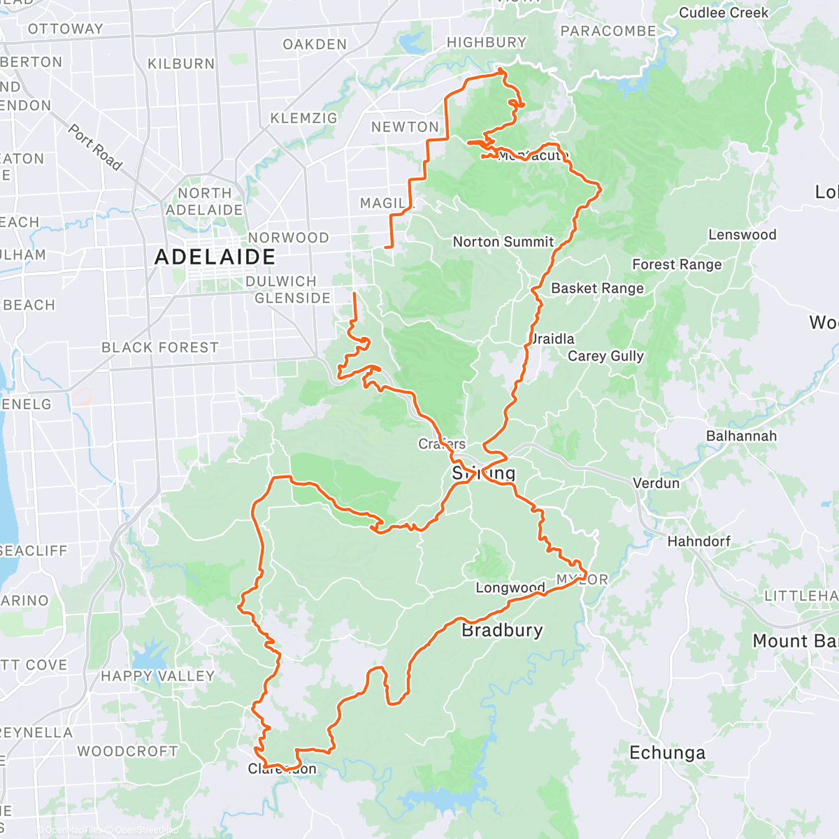 Map of the activity, Sophie almost ran longer than me…